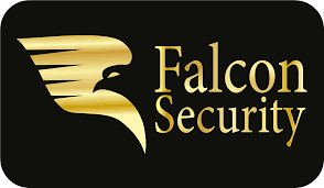 Falcon Security